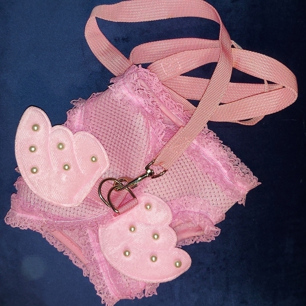 Doggie wear Angel outfit